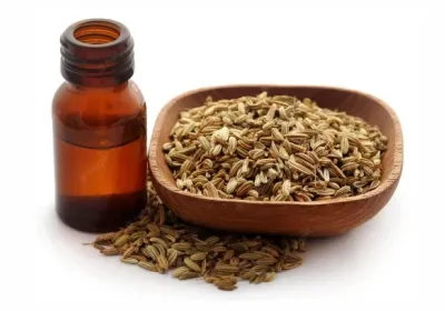  Ultrasonic Flow Cell Reactors